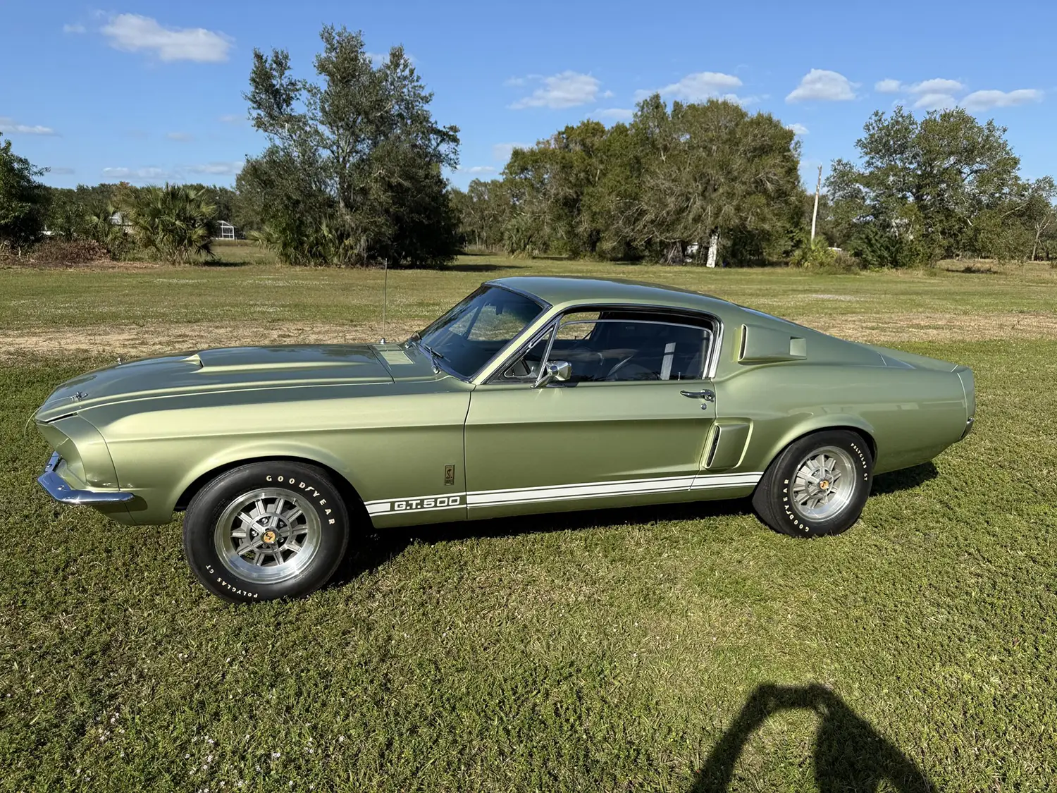 1967 Shelby Mustang GT500 Fastback 1967 Shelby Mustang GT500 Fastback