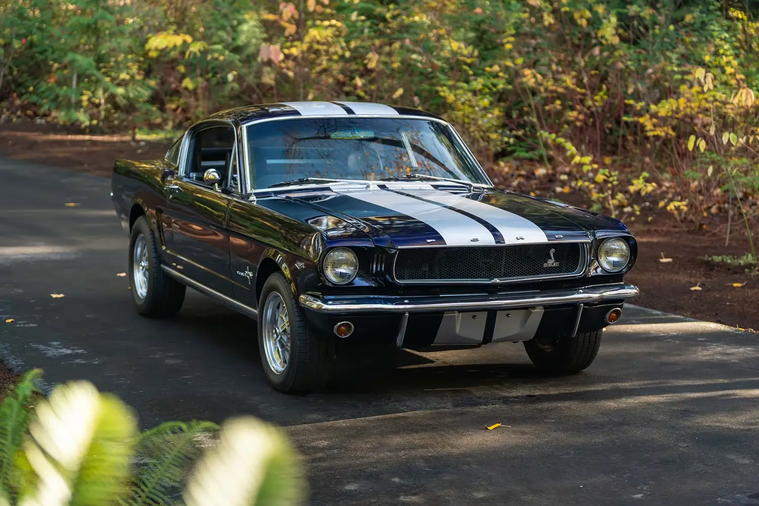 1965 Ford Mustang Fastback