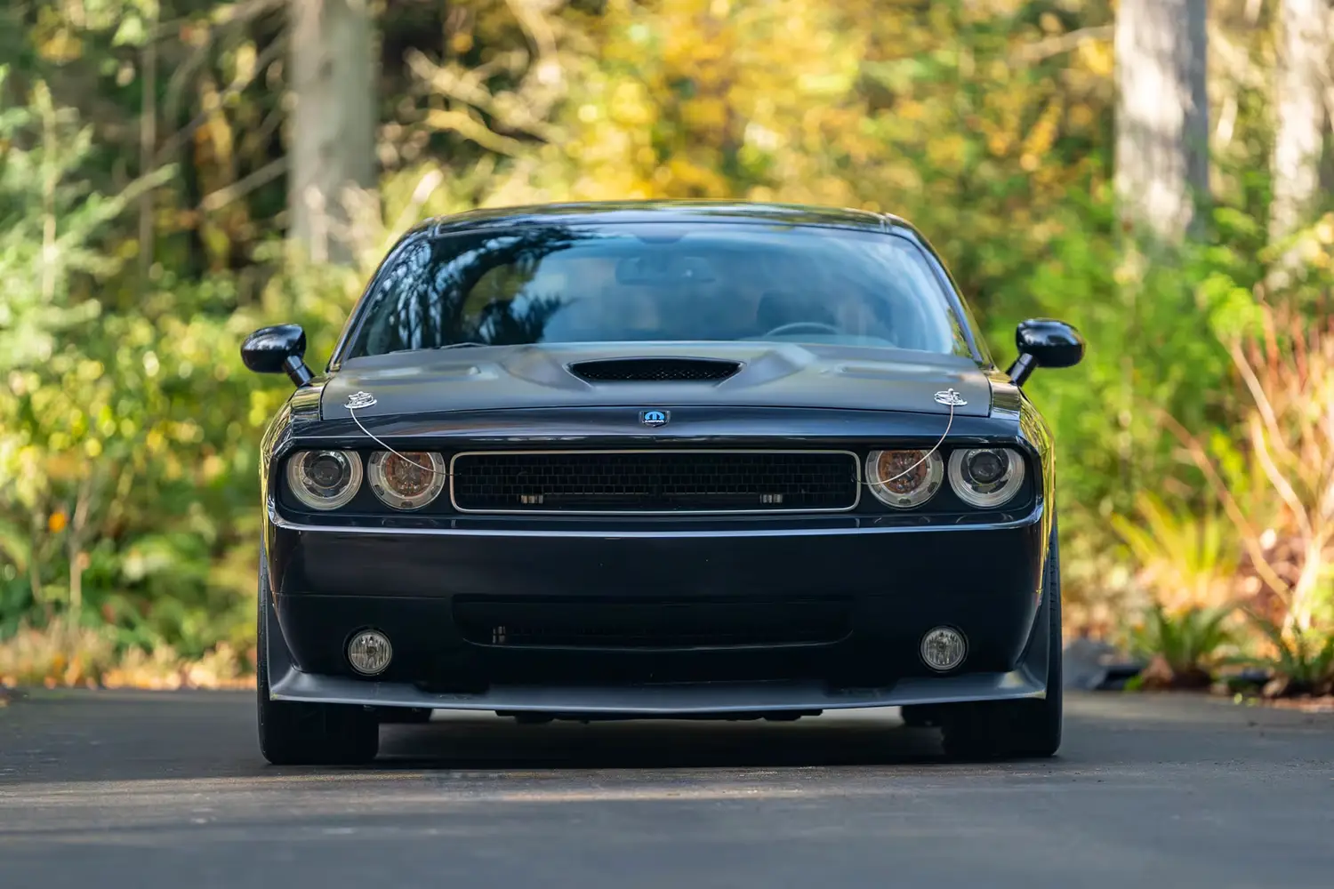 2010 Dodge Challenger SRT-8