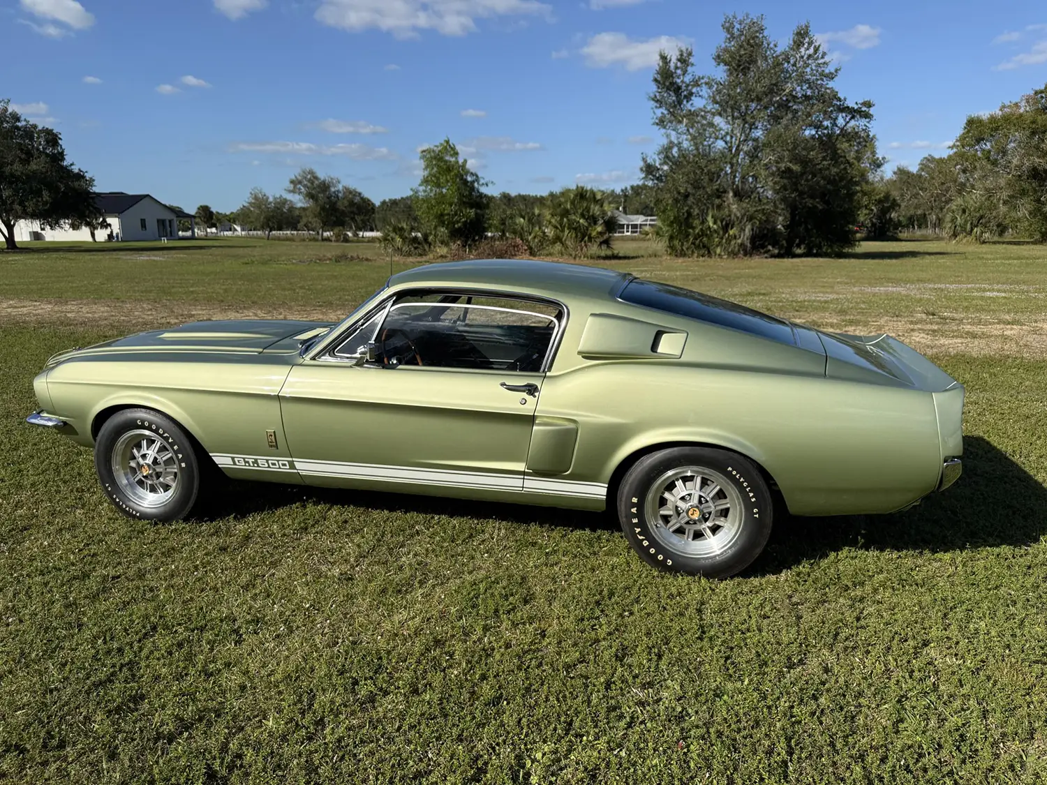 1967 Shelby Mustang GT500 Fastback 1967 Shelby Mustang GT500 Fastback