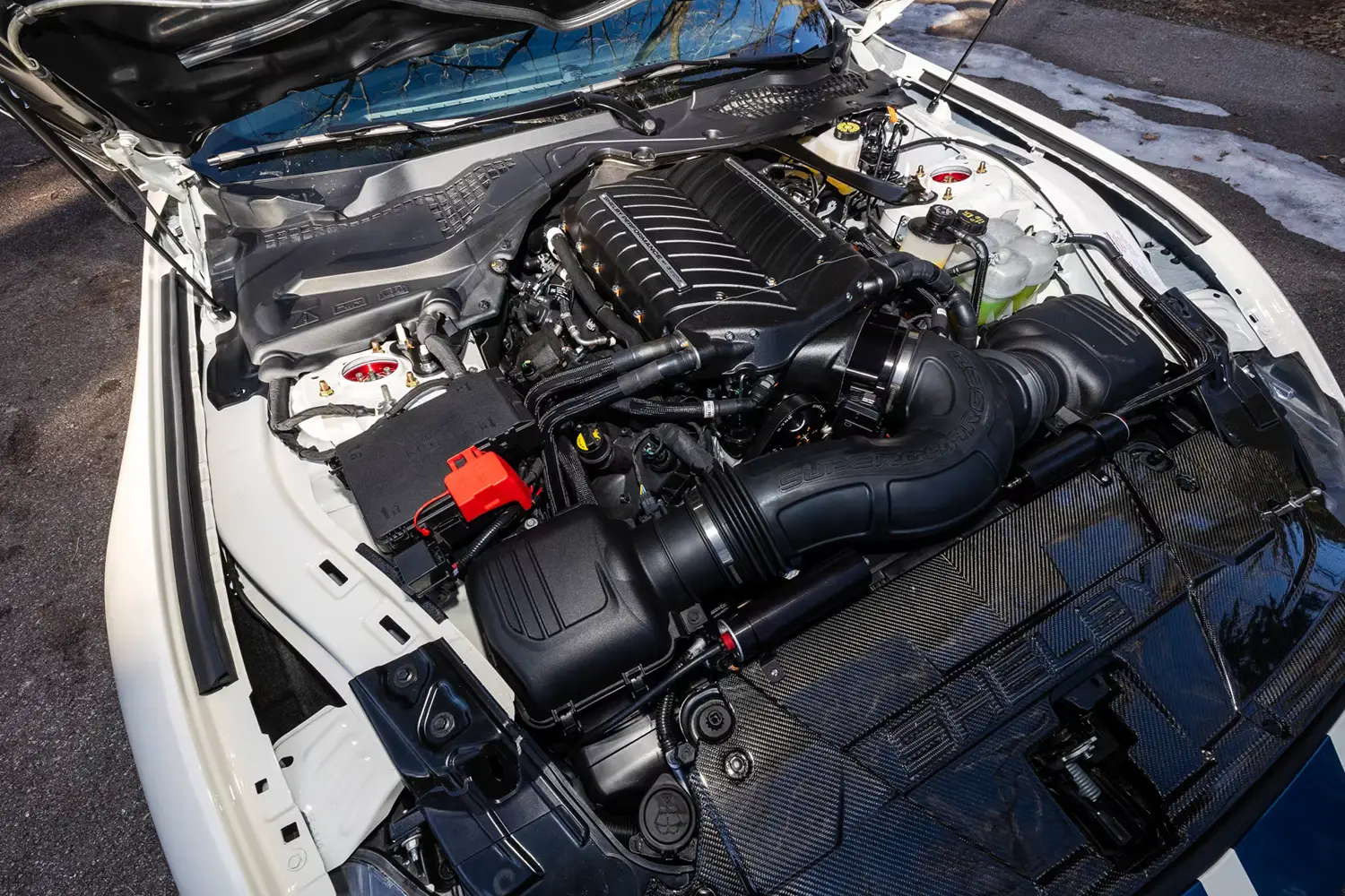 2025 Ford Shelby GT350R