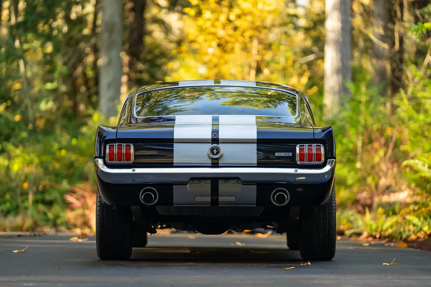 1965 Ford Mustang Fastback