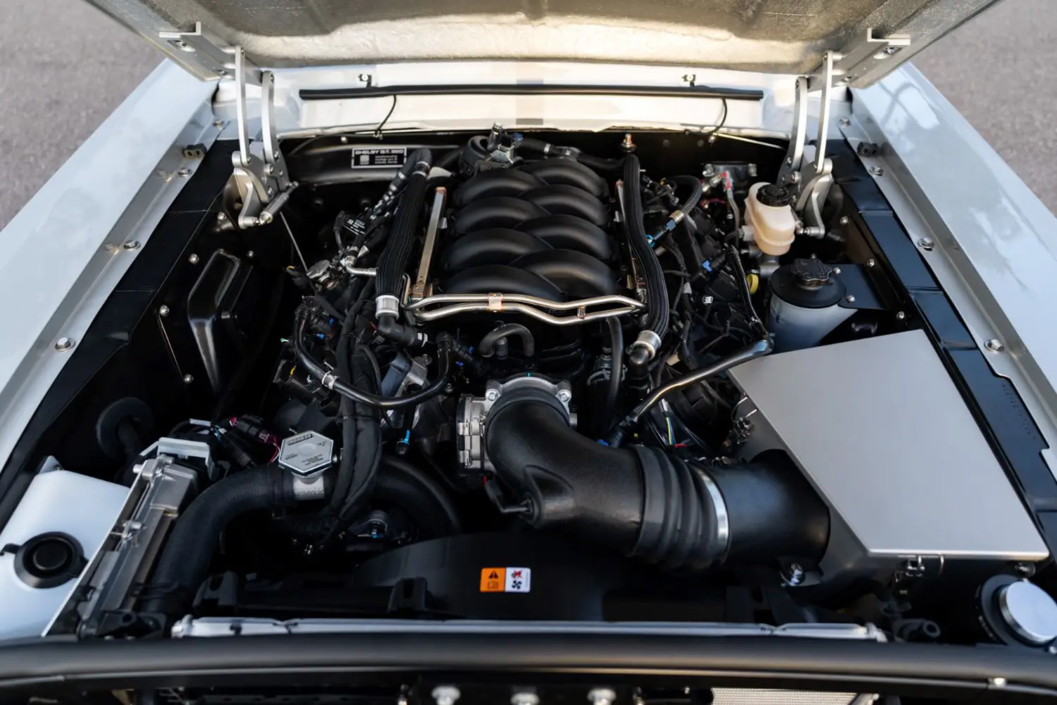 Revology 1967 Shelby GT350 Revology 1967 Shelby GT350