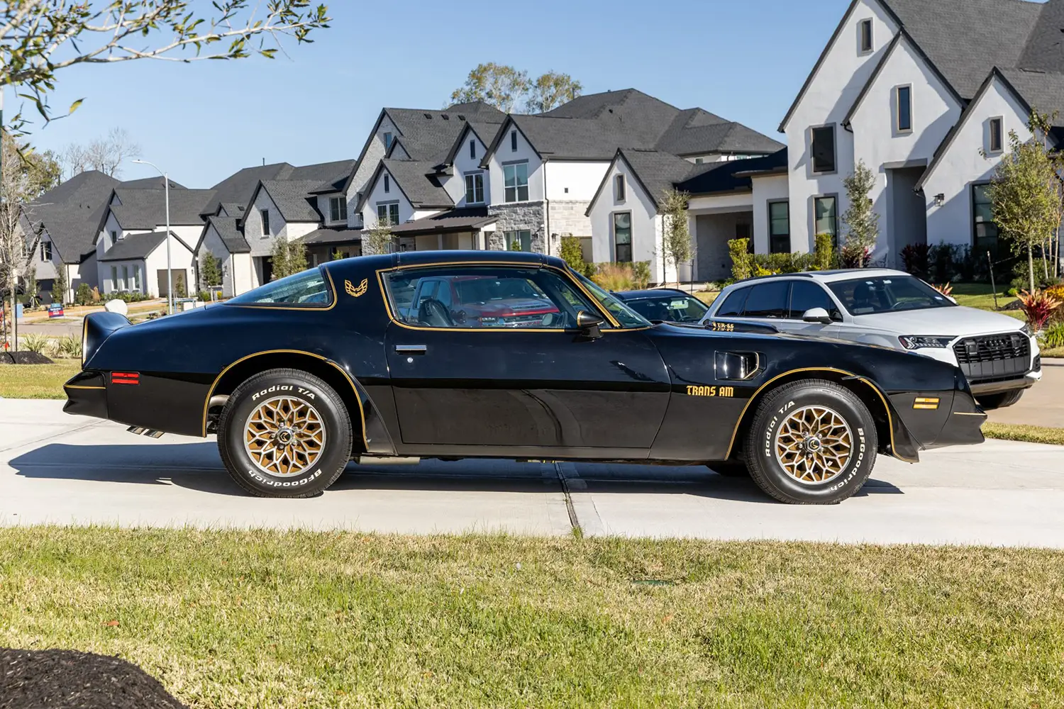 1977 Pontiac Firebird Trans Am