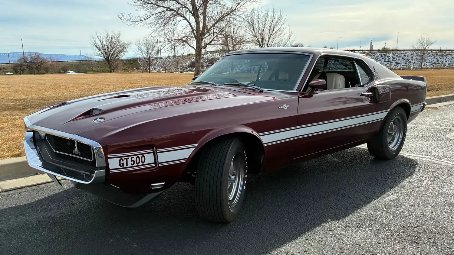 1969 Shelby GT500 Fastback