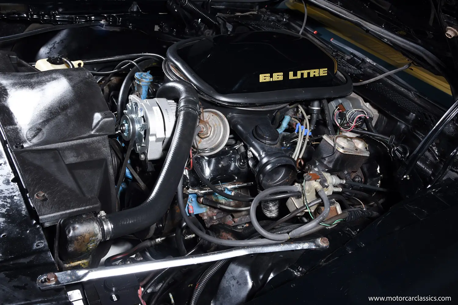 1979 Pontiac Firebird Trans Am