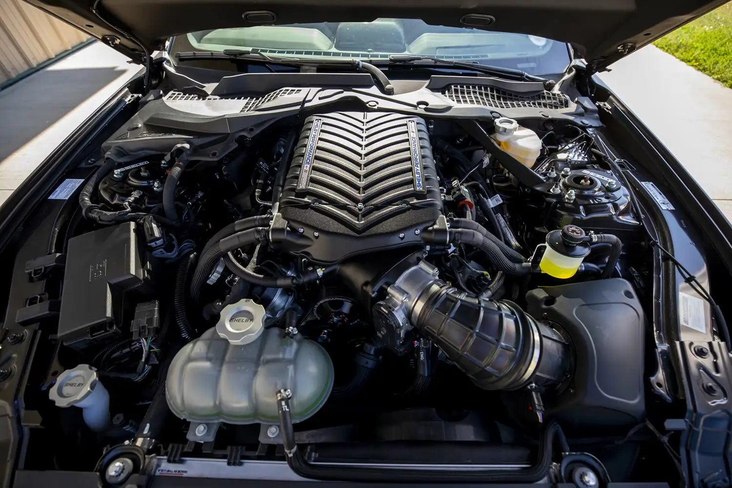 2023 Ford Mustang Carroll Shelby Centennial Edition