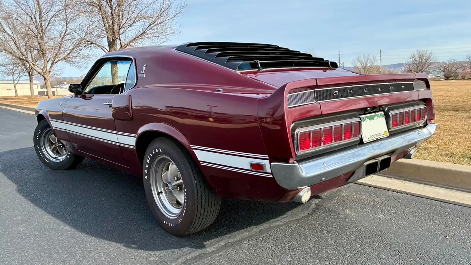 1969 Shelby GT500 Fastback