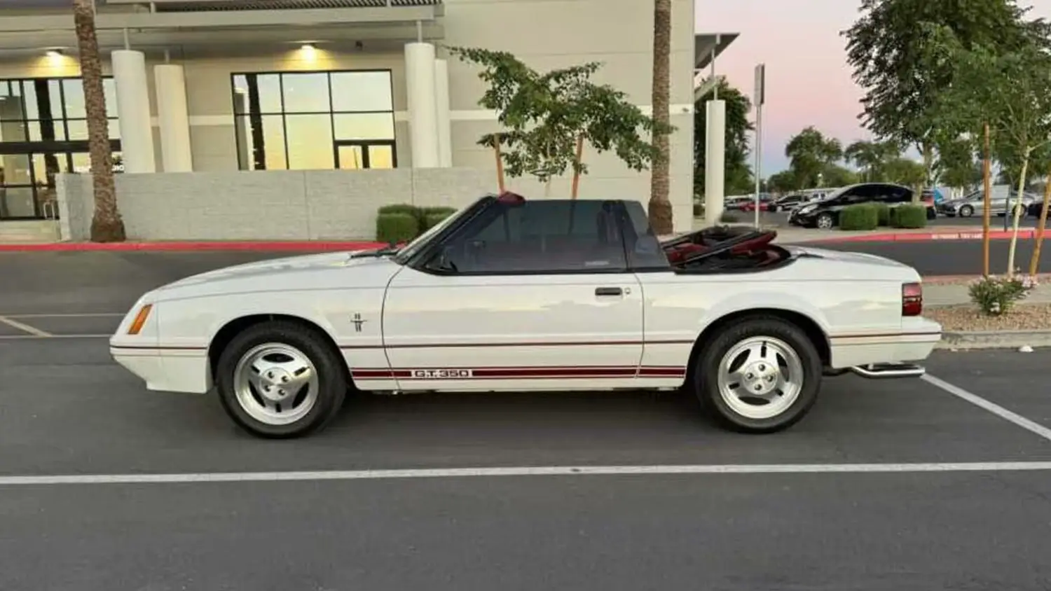 1984 Ford Mustang GT350 20th Anniversary