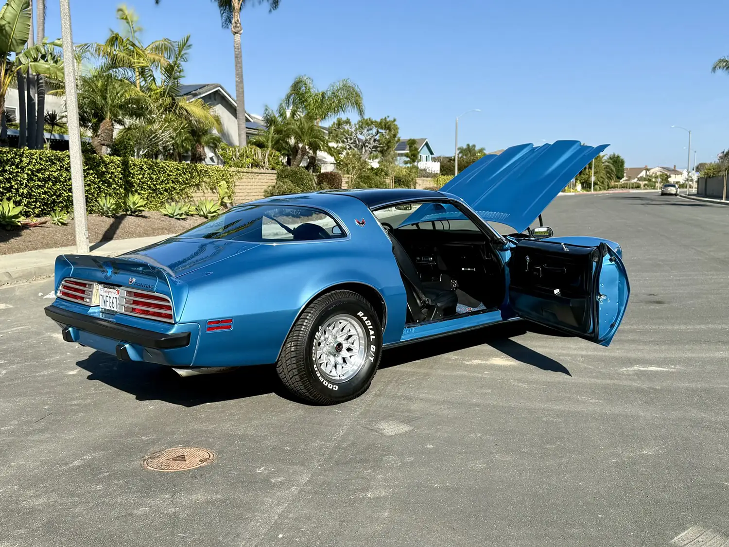 1975 Pontiac Firebird Formula