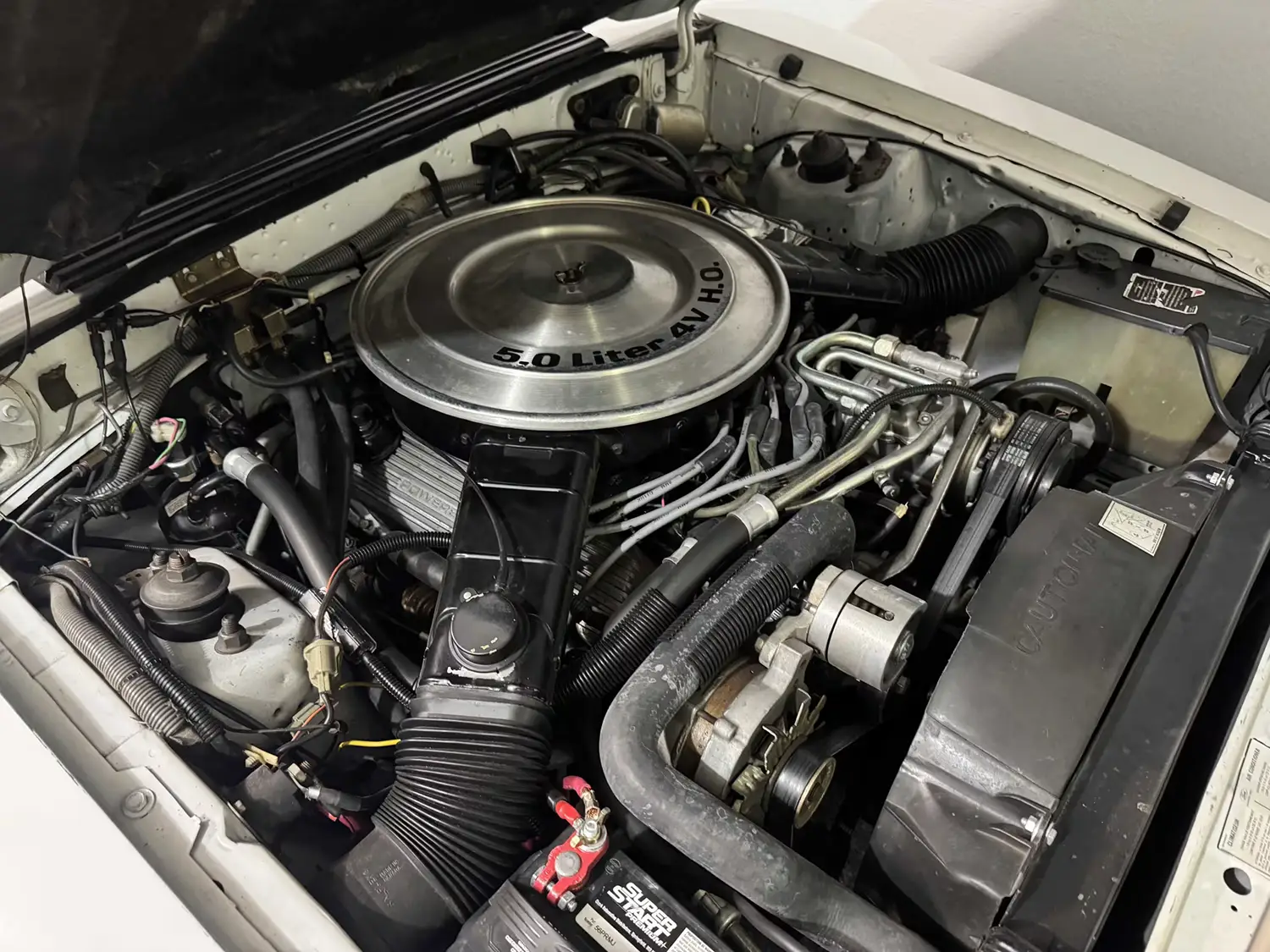 1984 Ford Mustang GT350 20th Anniversary