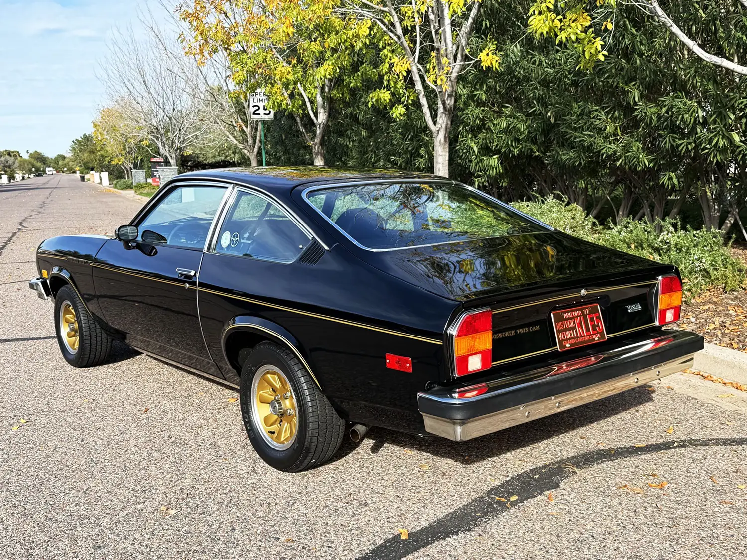 1976 Chevrolet Cosworth Vega