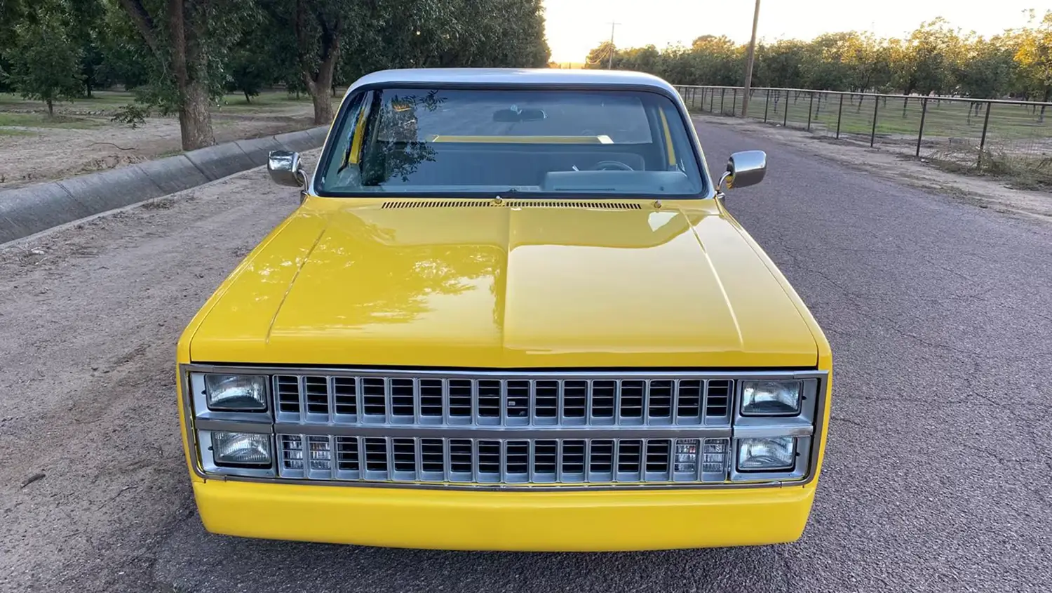1981 Chevrolet C10 Pickup 1981 Chevrolet C10 Pickup