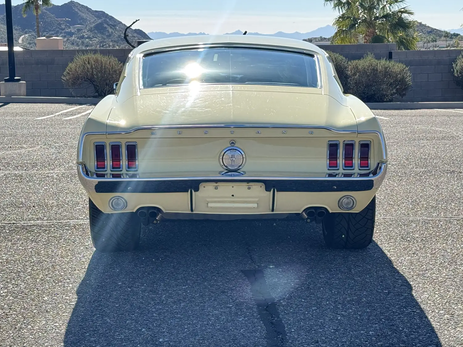 Coyote Powered 1967 Ford Mustang Fastback