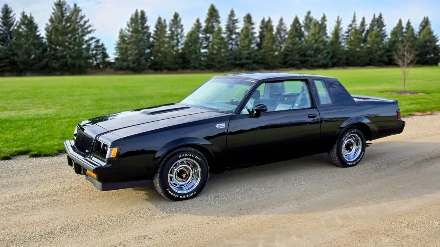 1987 Buick Grand National Coupe 1987 Buick Grand National Coupe