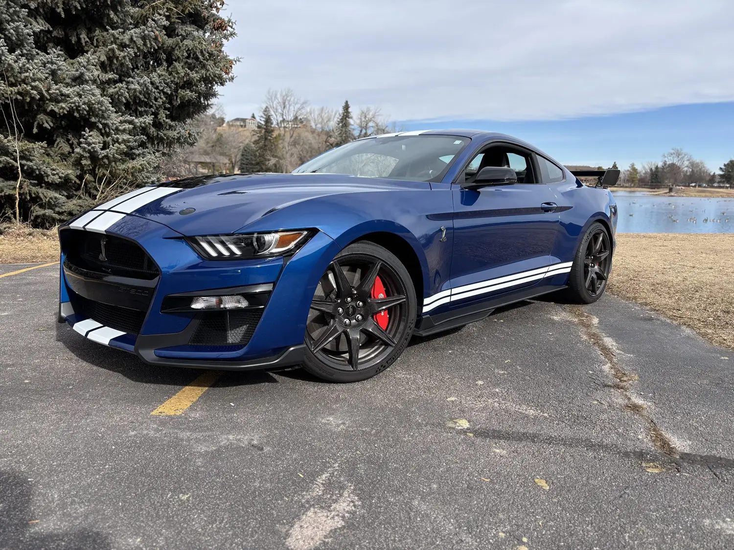 2022 Ford Mustang Shelby GT500