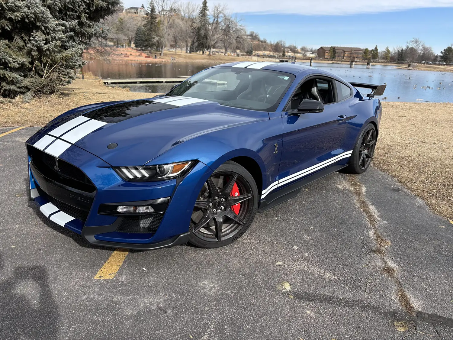 2022 Ford Mustang Shelby GT500