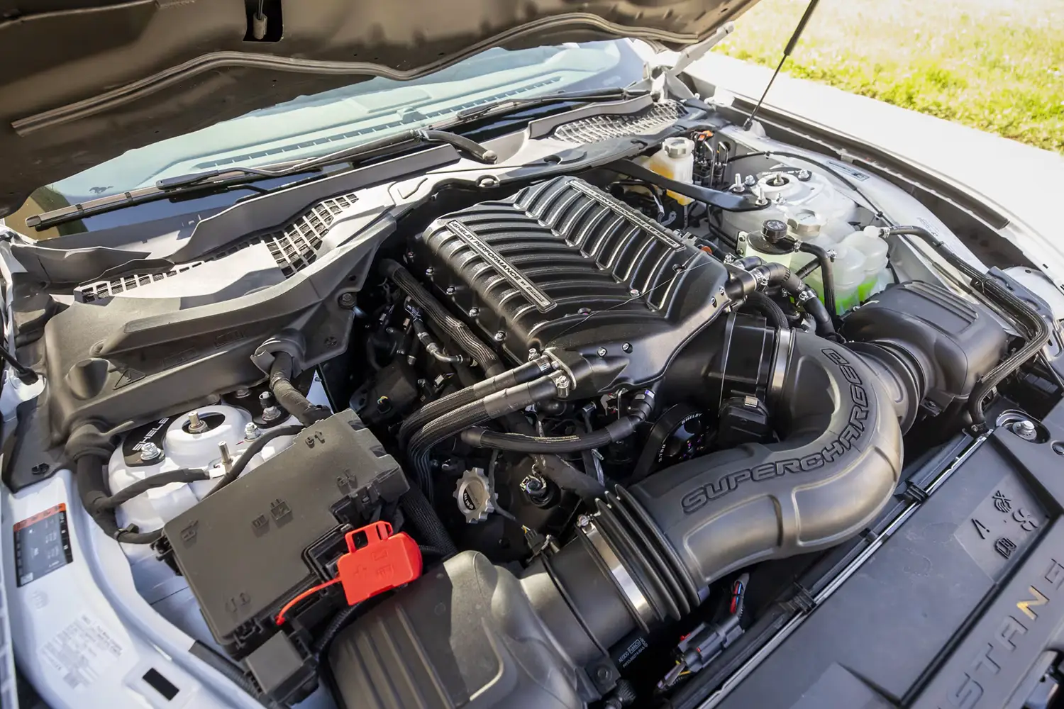 2024 Ford Shelby Super Snake Convertible