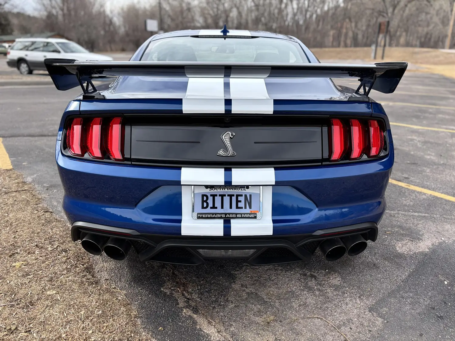 2022 Ford Mustang Shelby GT500