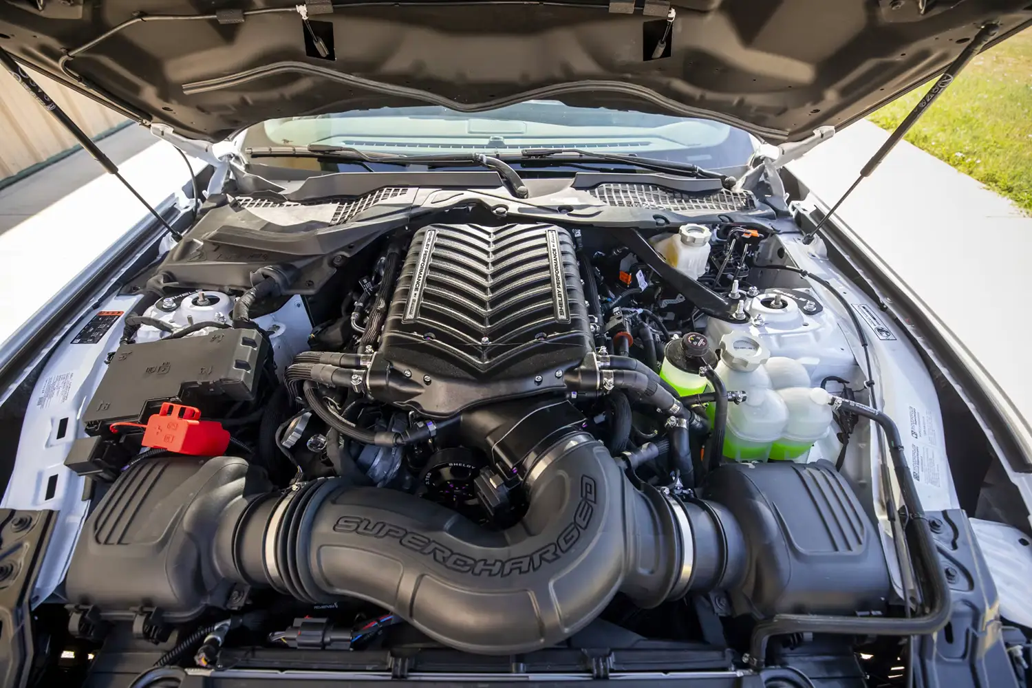 2024 Ford Shelby Super Snake Convertible