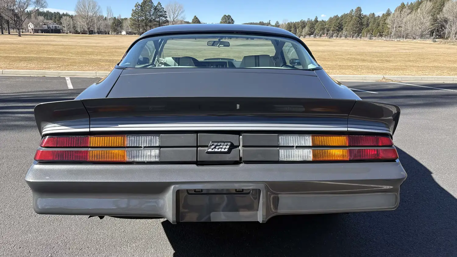 1980 Chevrolet Camaro Z28