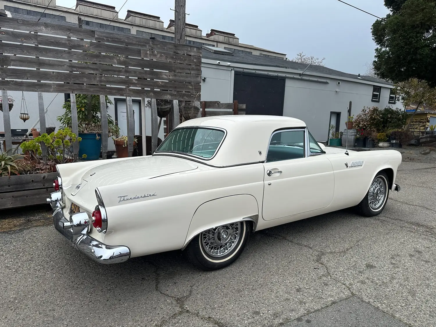 1955 Ford Thunderbird