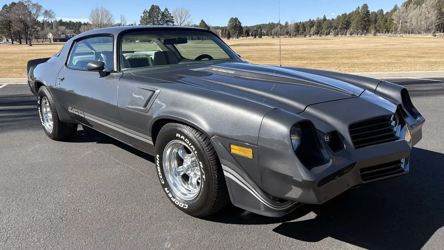 1980 Chevrolet Camaro Z28