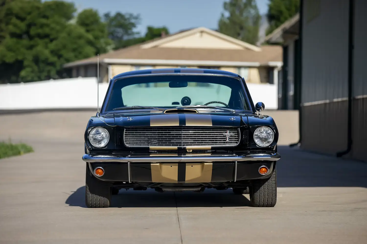 1966 Shelby GT350H Fastback