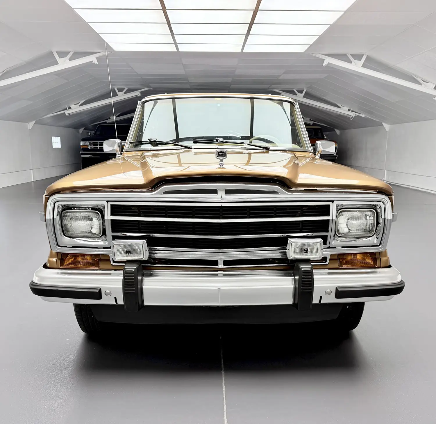 1986 Jeep Grand Wagoneer