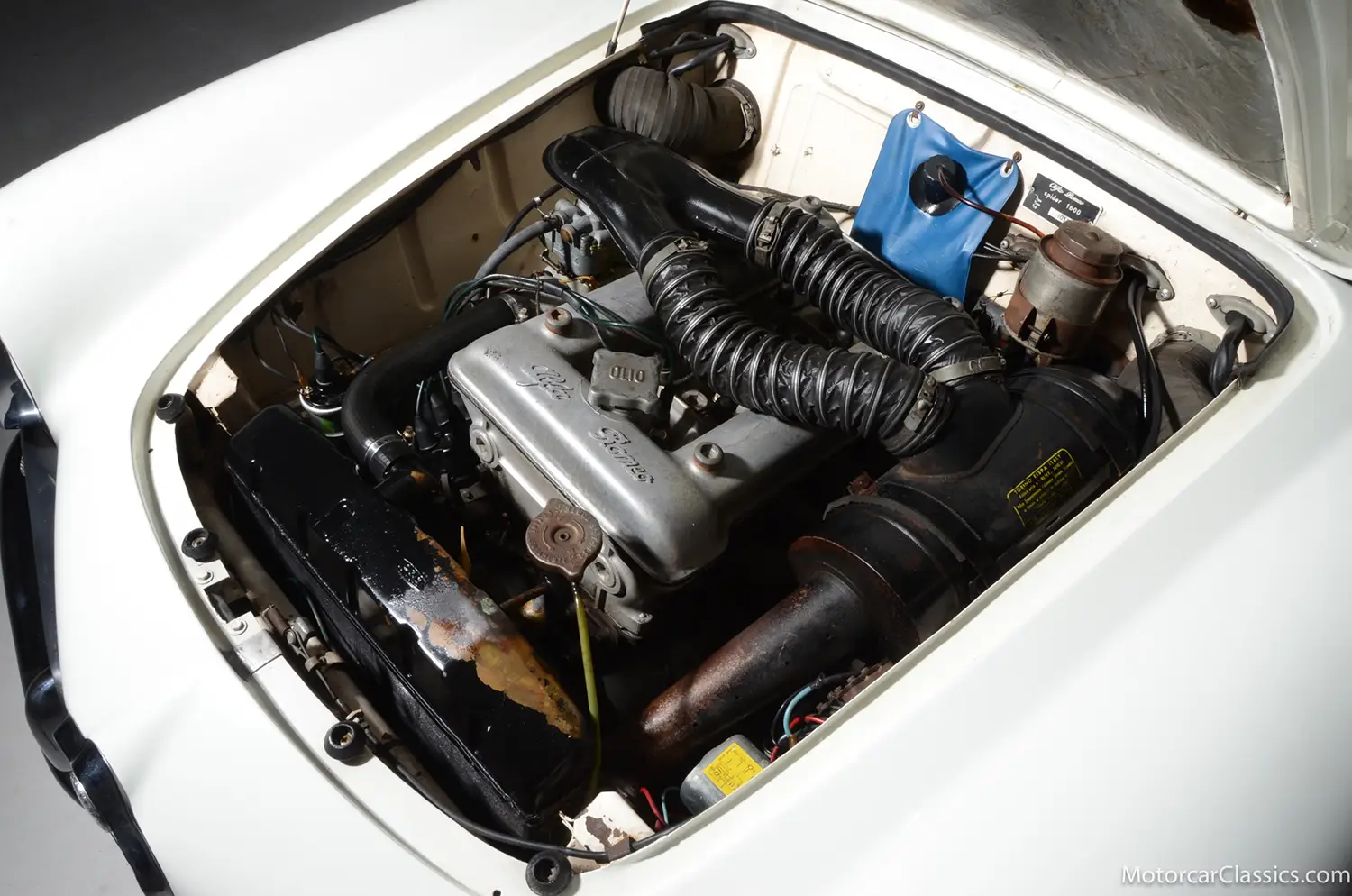 1964 Alfa Romeo Giulia 1600 Spider