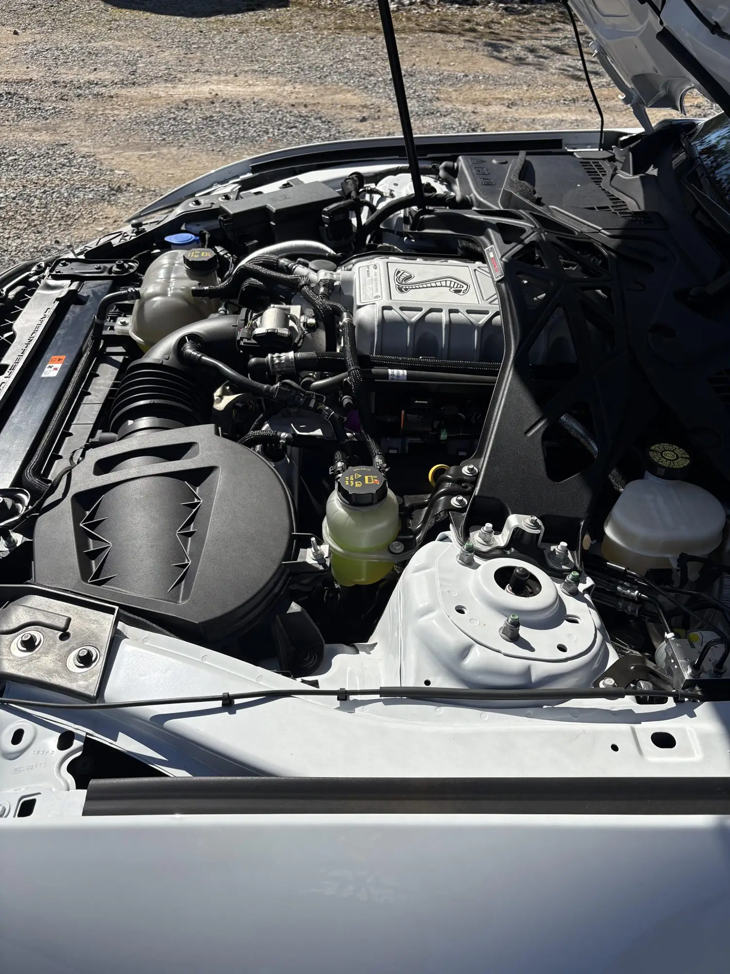 2022 Ford Mustang Shelby GT500