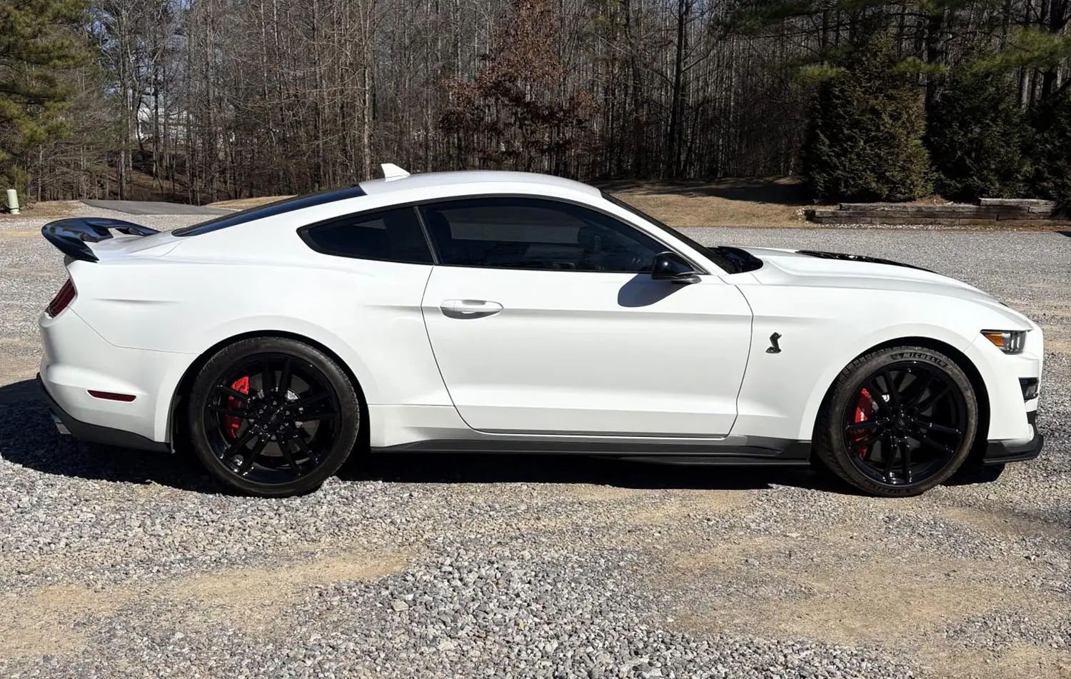 2022 Ford Mustang Shelby GT500