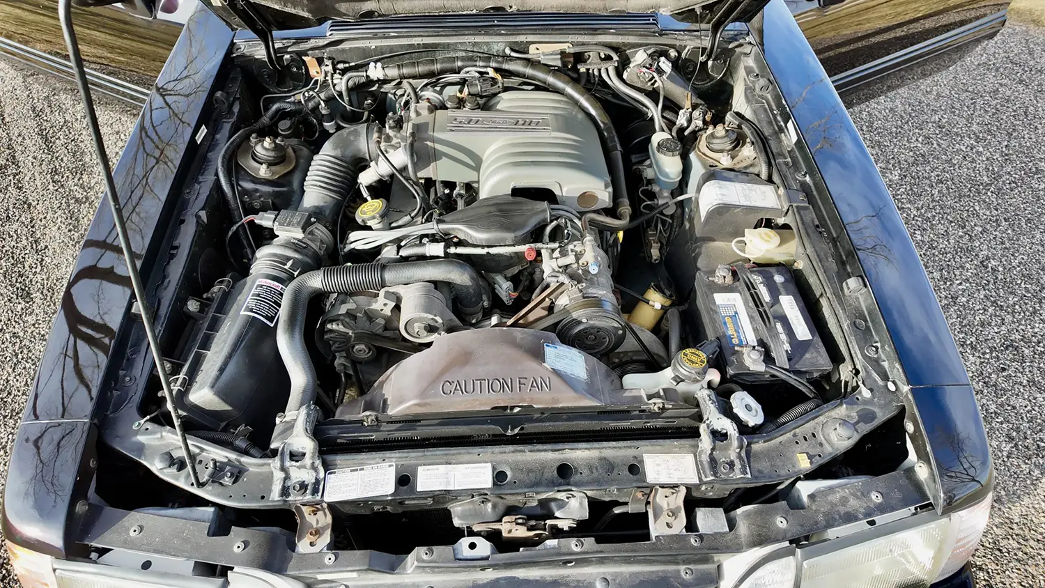 1989 Ford Mustang GT 1989 Ford Mustang GT