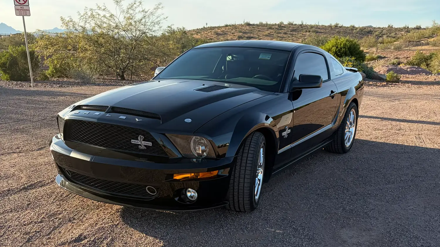 2009 Ford Shelby GT500KR