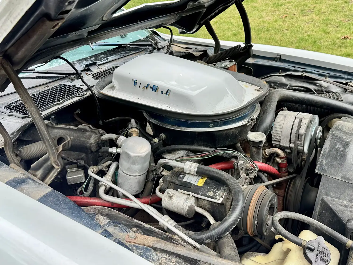 1979 Pontiac Trans Am 1979 Pontiac Trans Am