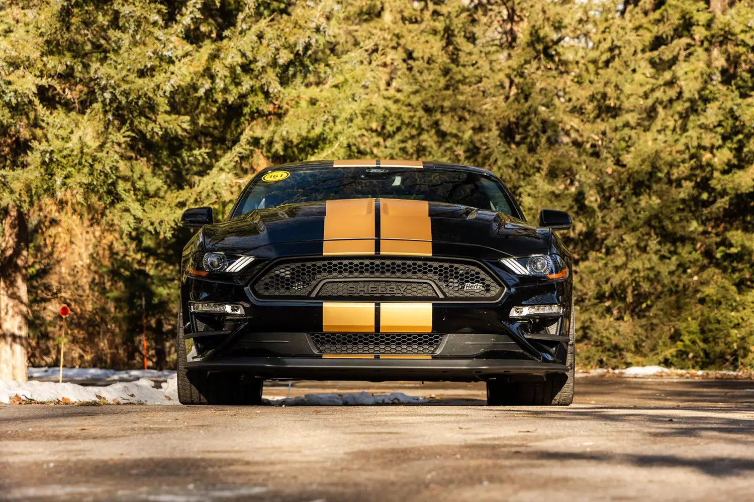 2022 Ford Shelby GT-H 2022 Ford Shelby GT-H