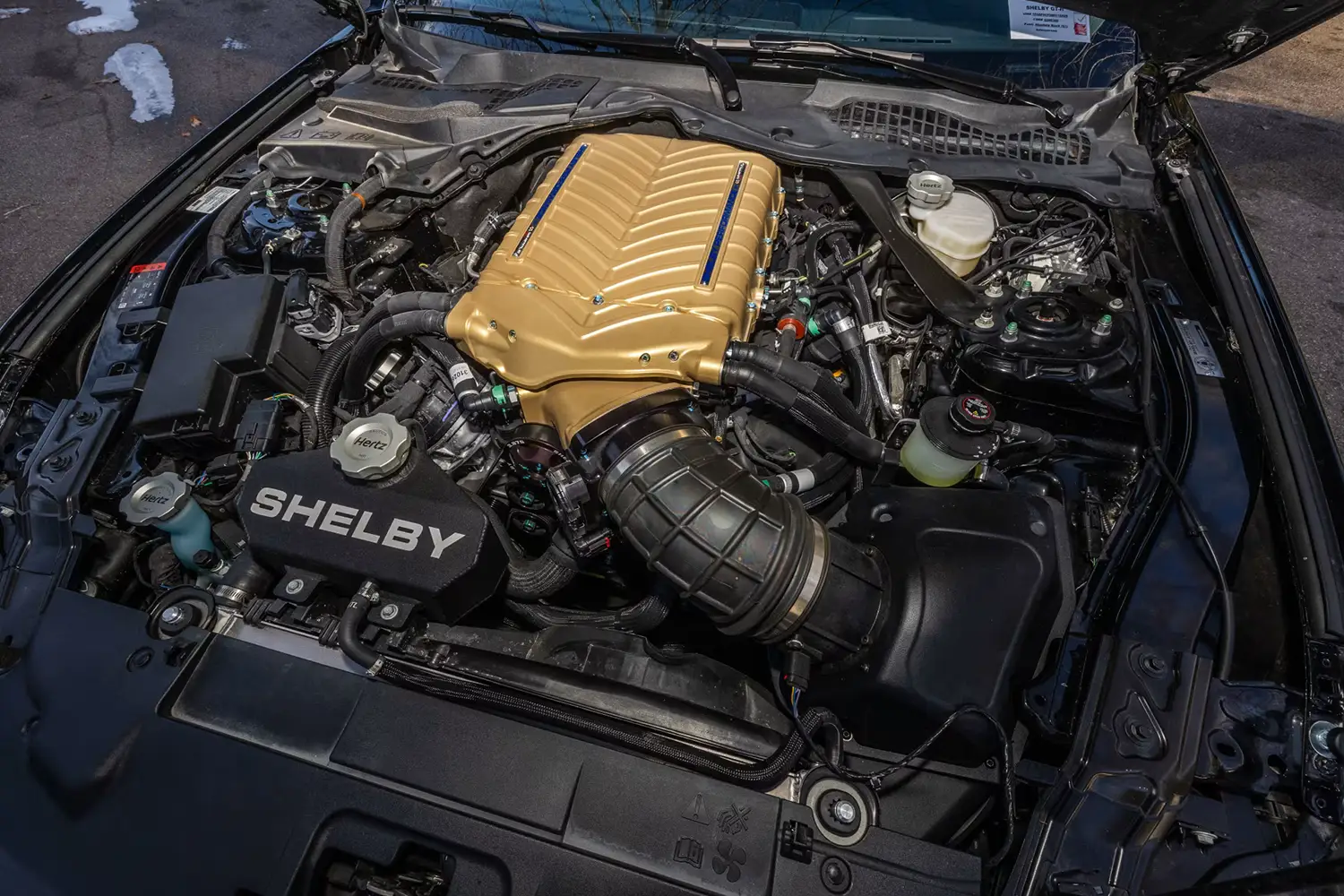 2022 Ford Shelby GT-H 2022 Ford Shelby GT-H