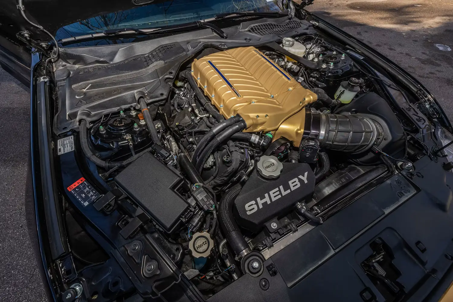 2022 Ford Shelby GT-H 2022 Ford Shelby GT-H