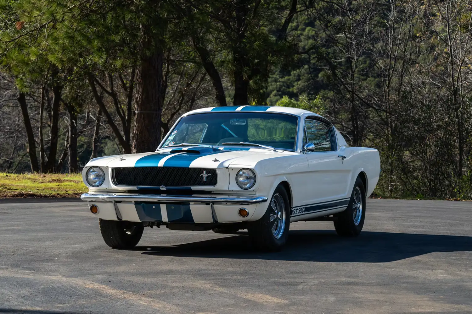 1965 Shelby GT350 Fastback