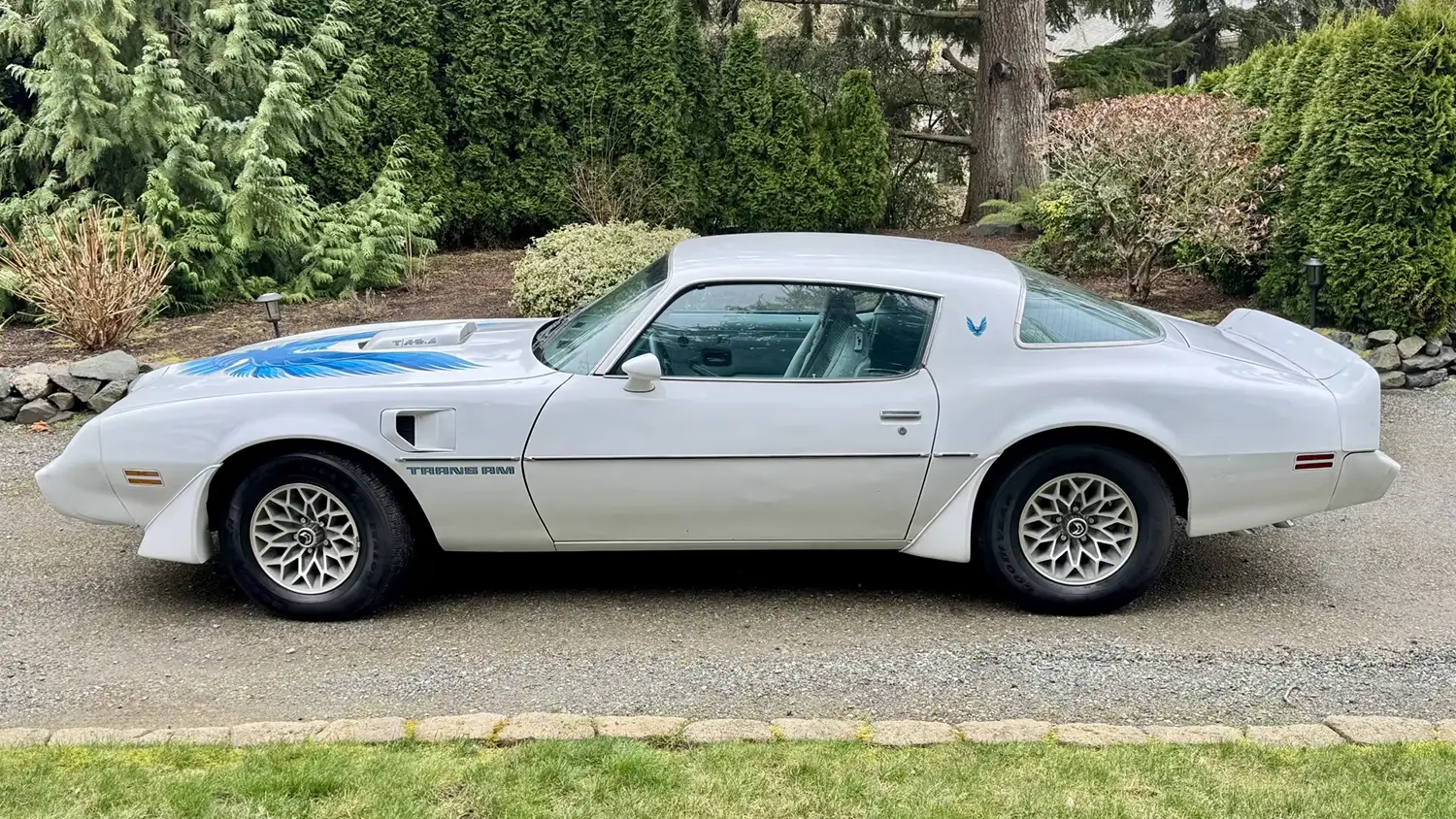 1979 Pontiac Trans Am 1979 Pontiac Trans Am