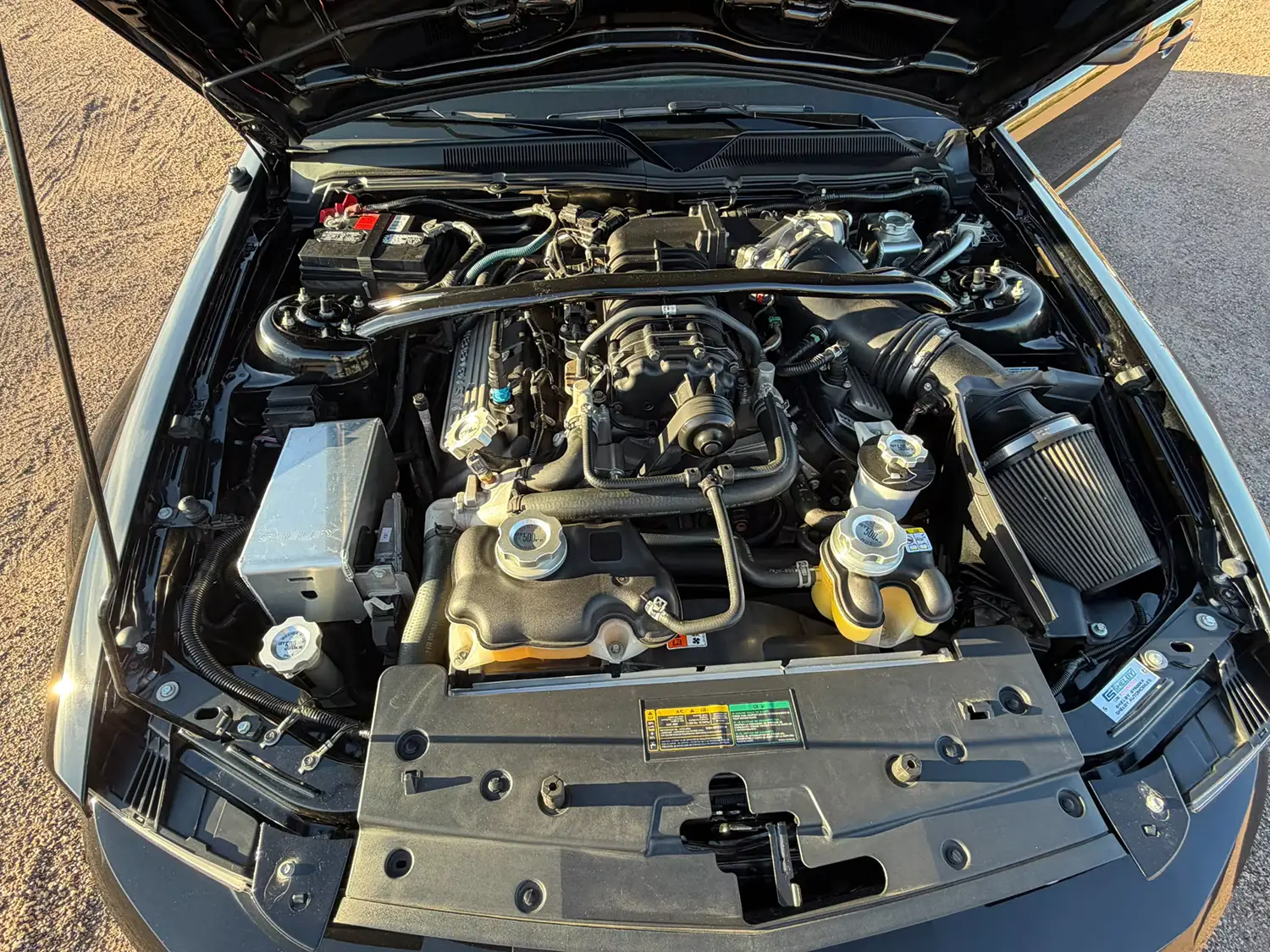 2009 Ford Shelby GT500KR