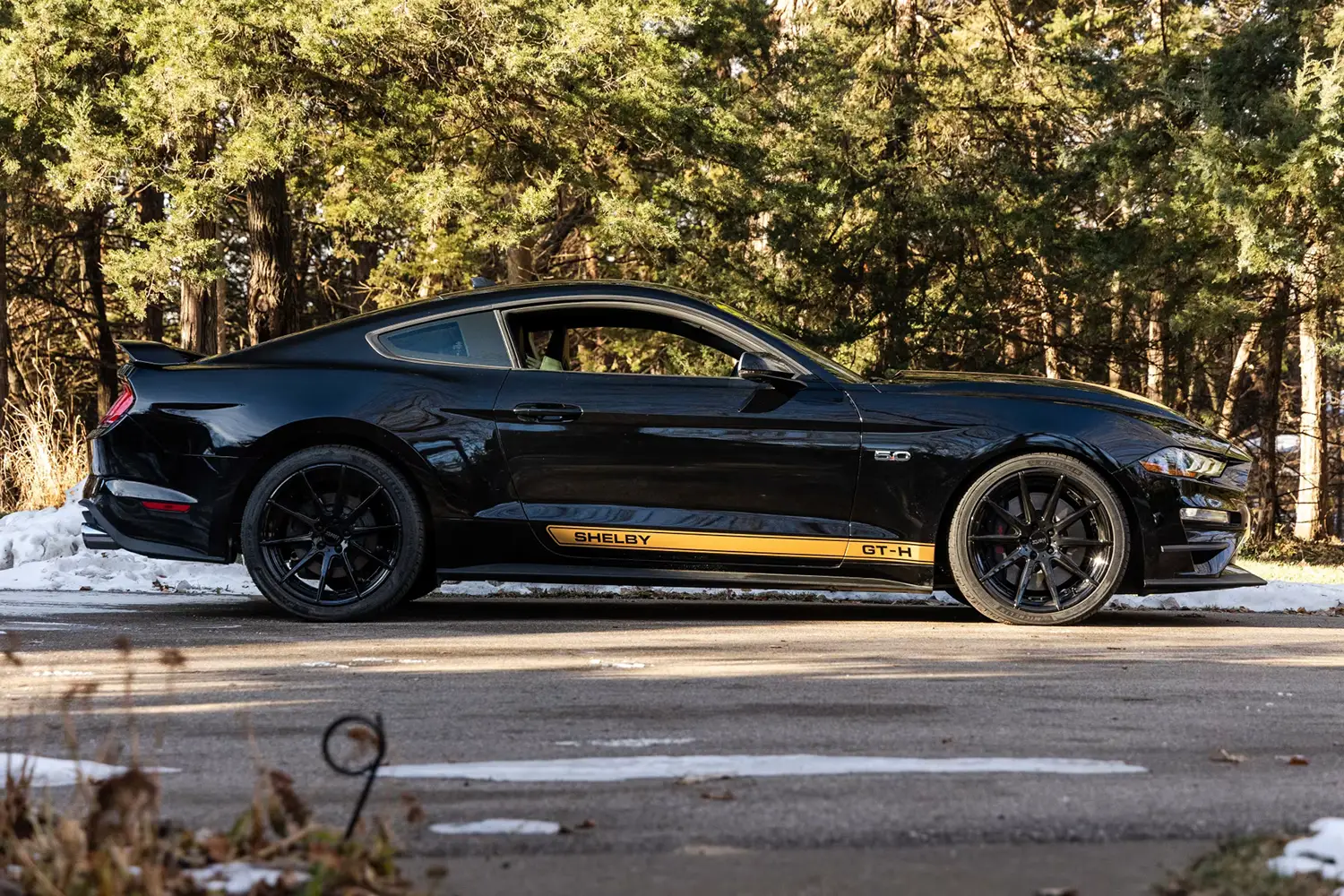 2022 Ford Shelby GT-H 2022 Ford Shelby GT-H