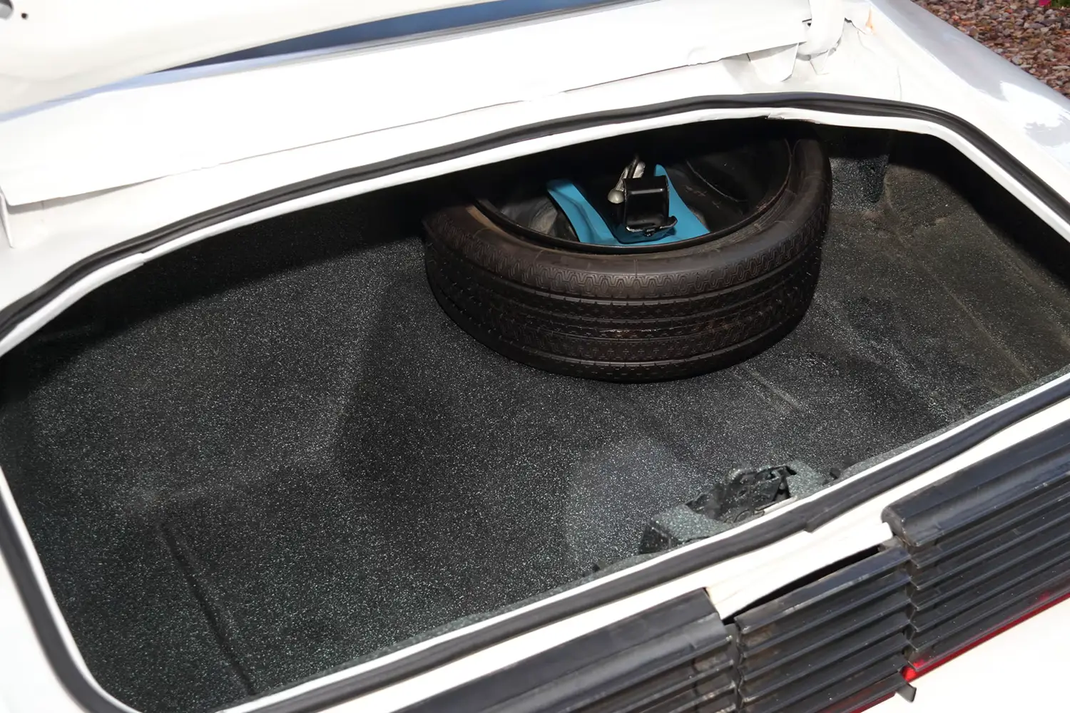 1979 Pontiac Trans Am