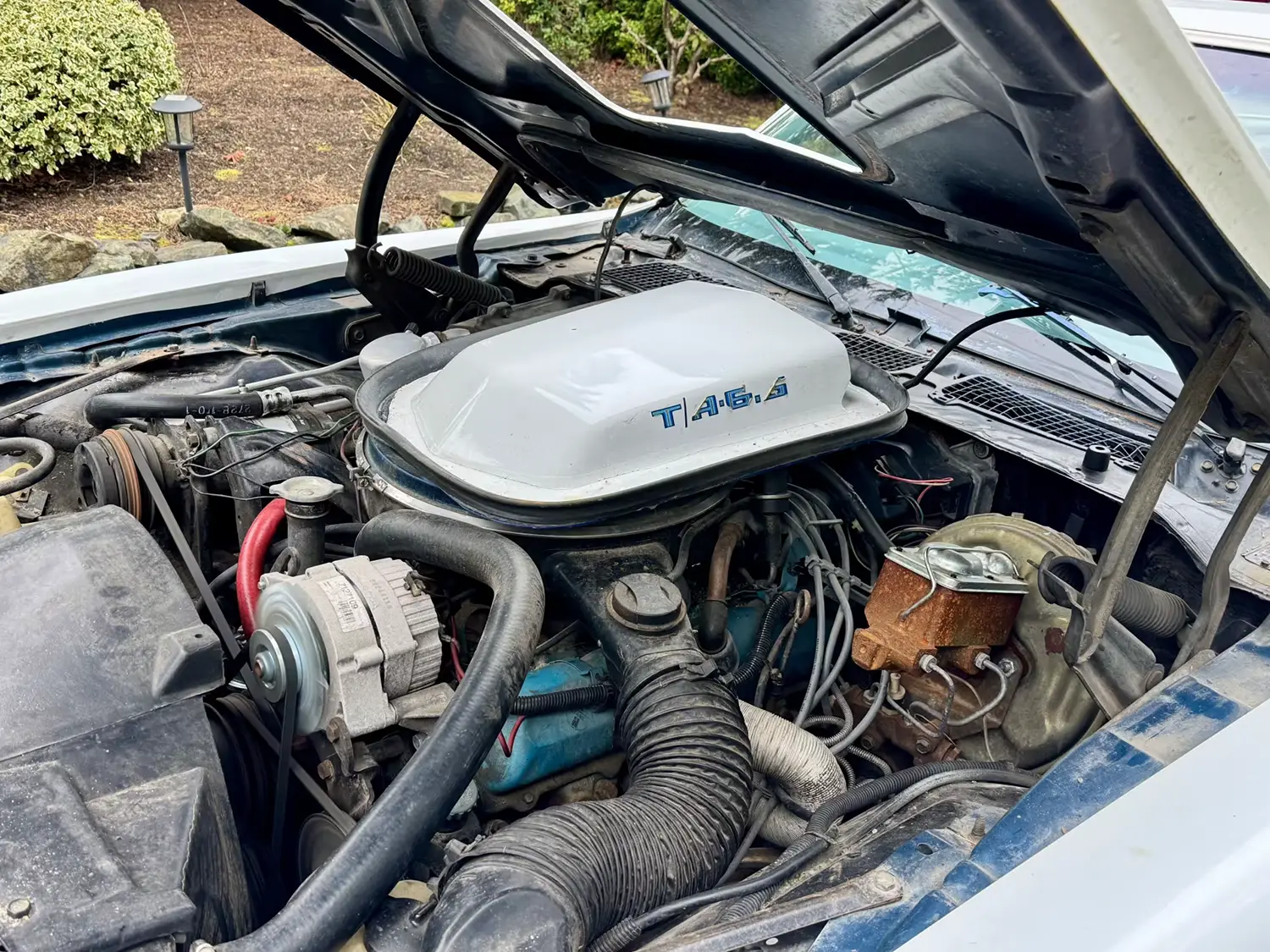 1979 Pontiac Trans Am 1979 Pontiac Trans Am