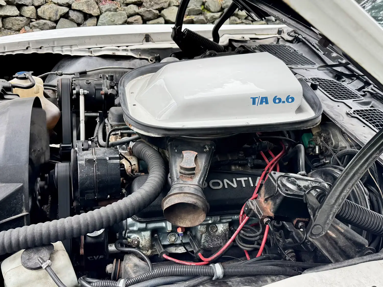 1978 Pontiac Trans Am