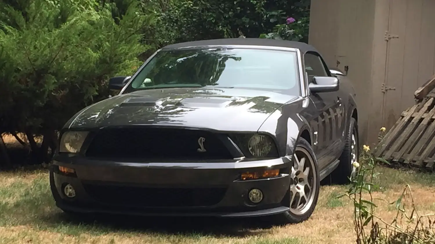 2007 Ford Shelby GT500 Convertible