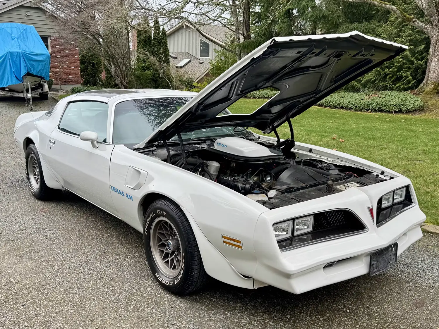 1978 Pontiac Trans Am