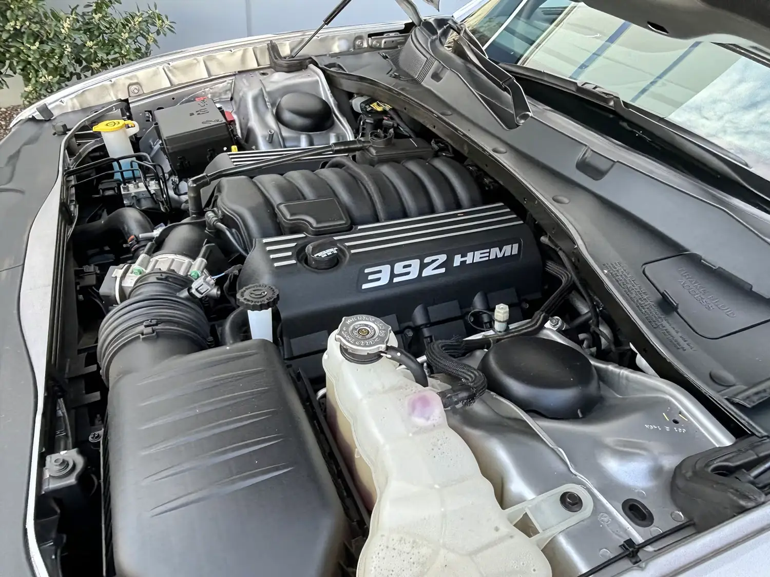 2014 Dodge Charger SRT-8 Super Bee Satin Vapor Edition