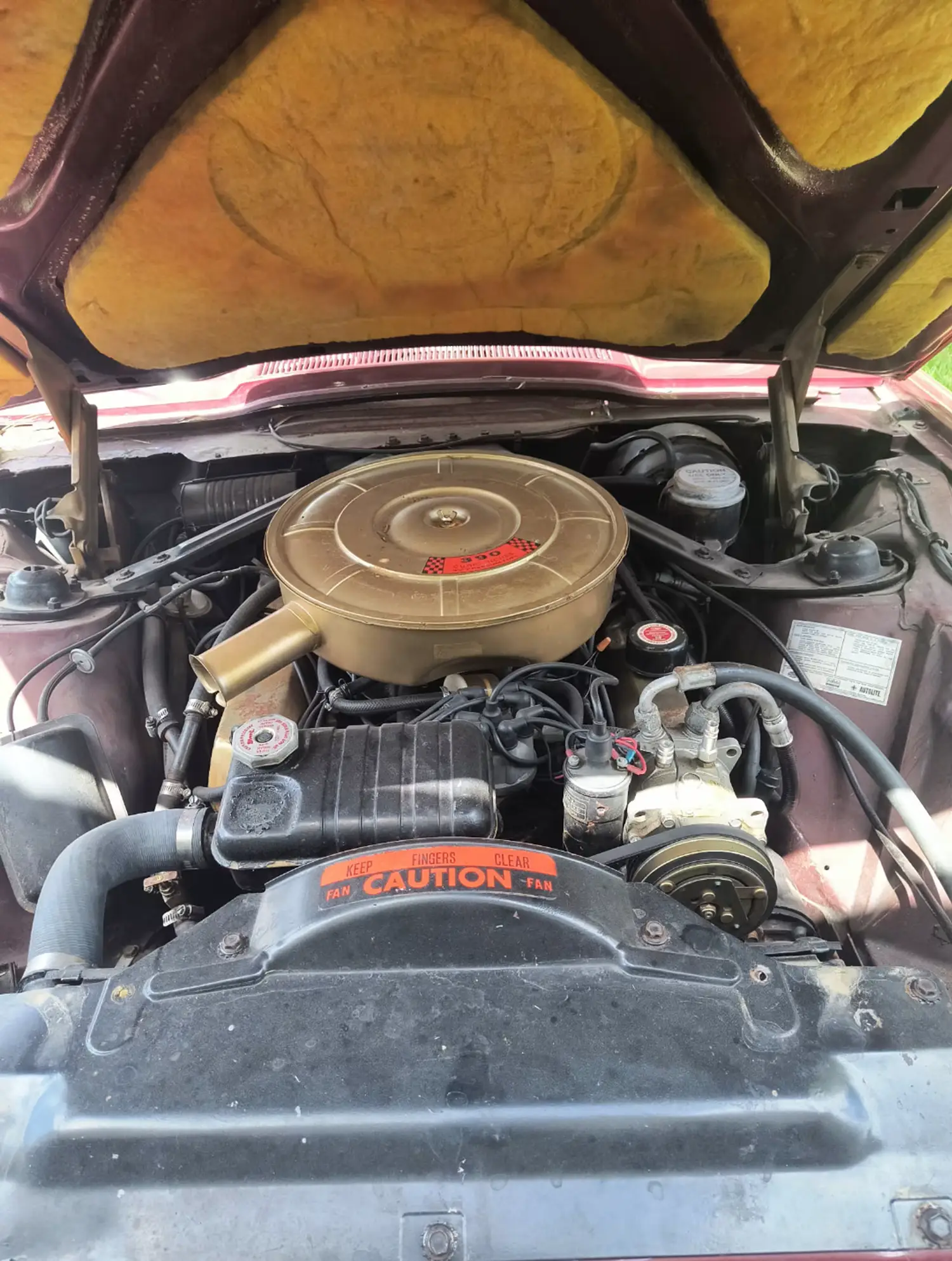 1965 Ford Thunderbird