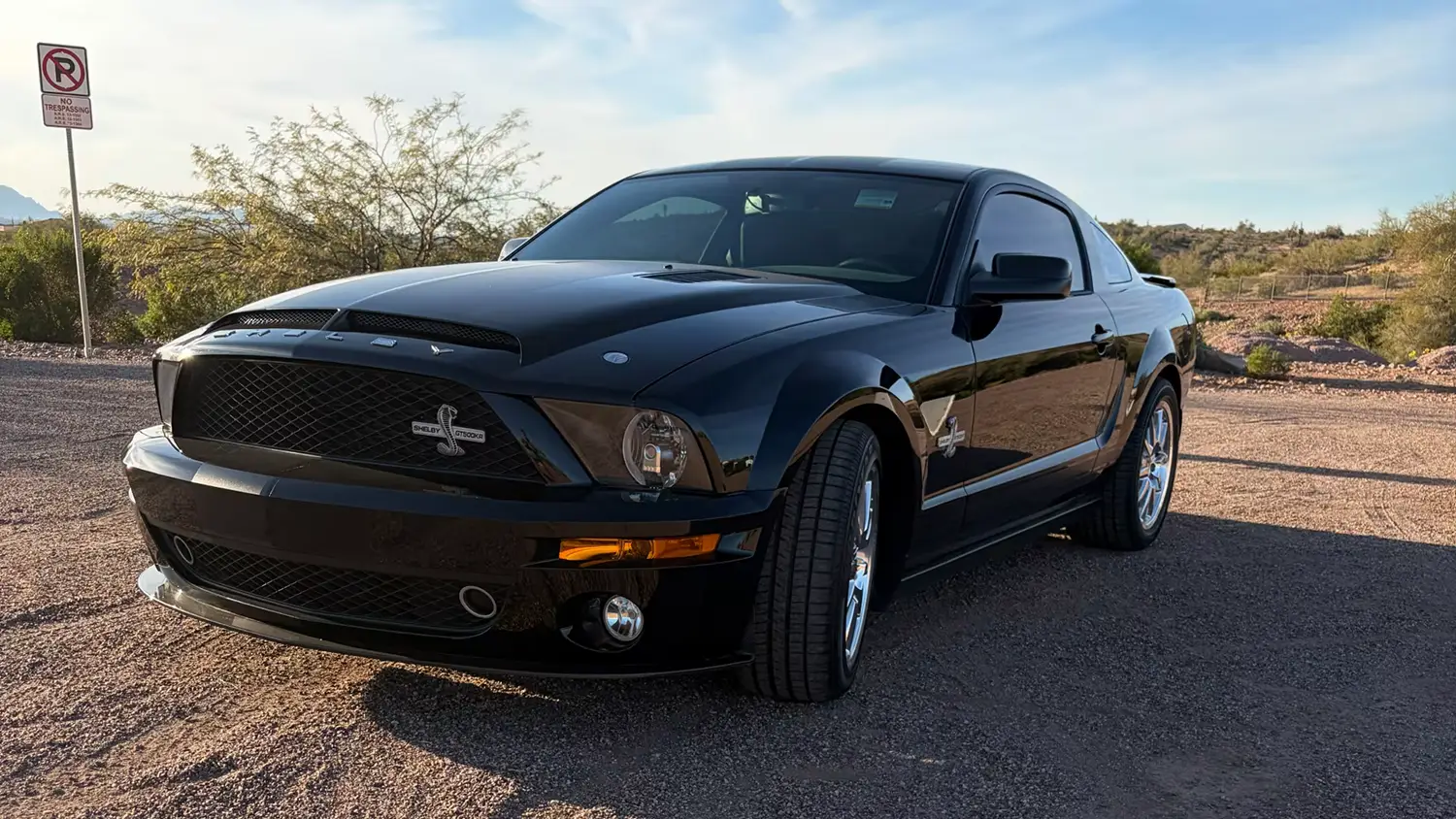2009 Ford Shelby GT500KR